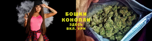 гашик Осташков