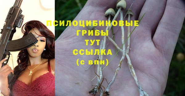 Альфа ПВП Болохово