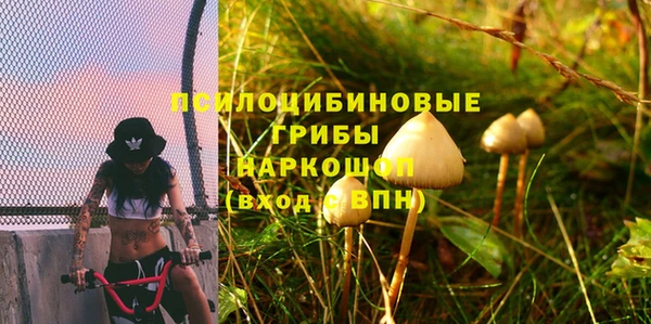 гашик Осташков