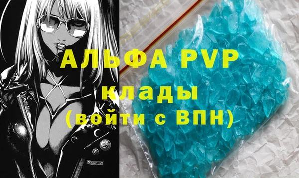 прущие грибы Няндома