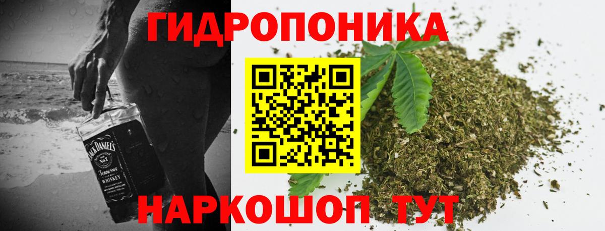 Бошки Шишки гибрид  Вход с VPN  Урус-Мартан  Канабис VHQ  Канабис OG Kush 