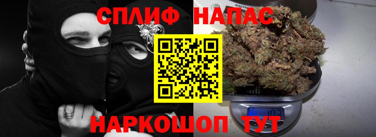Бошки Шишки семена Урус-Мартан